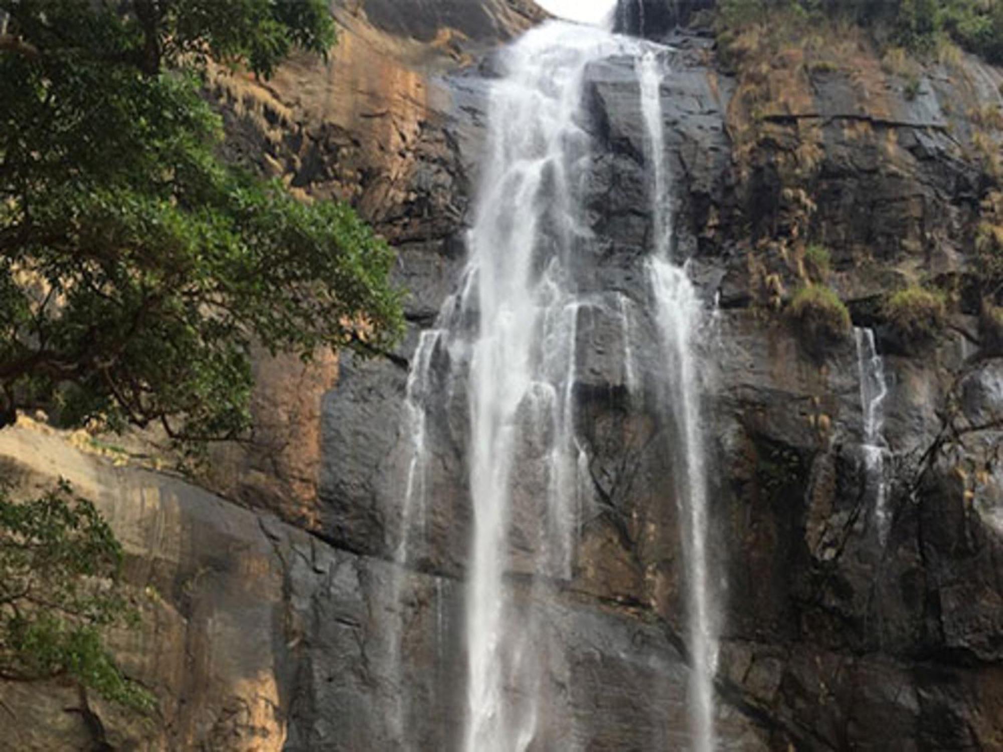Coastal Grand Mahendravanam - Kolli Hills Exterior foto