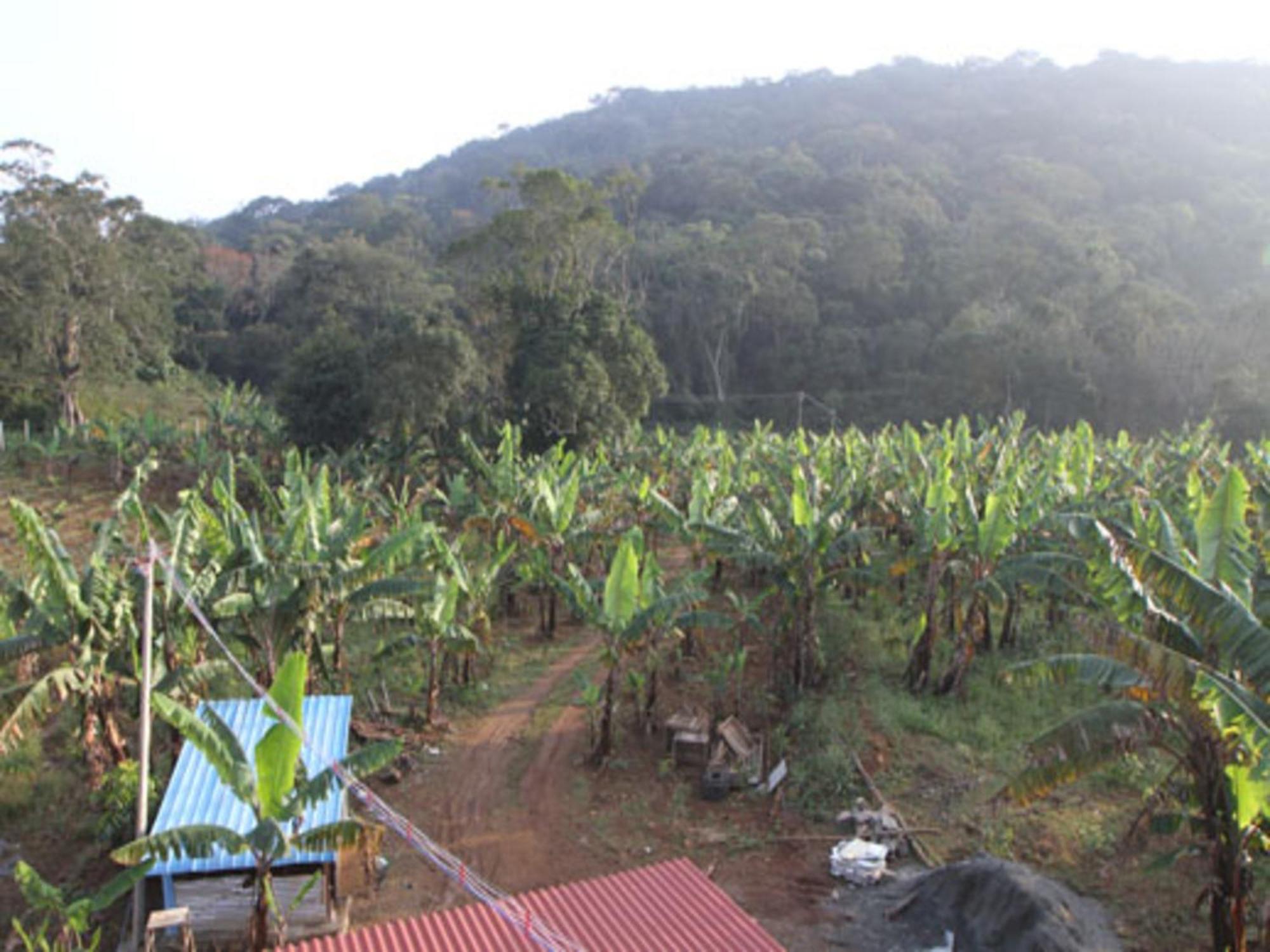 Coastal Grand Mahendravanam - Kolli Hills Exterior foto